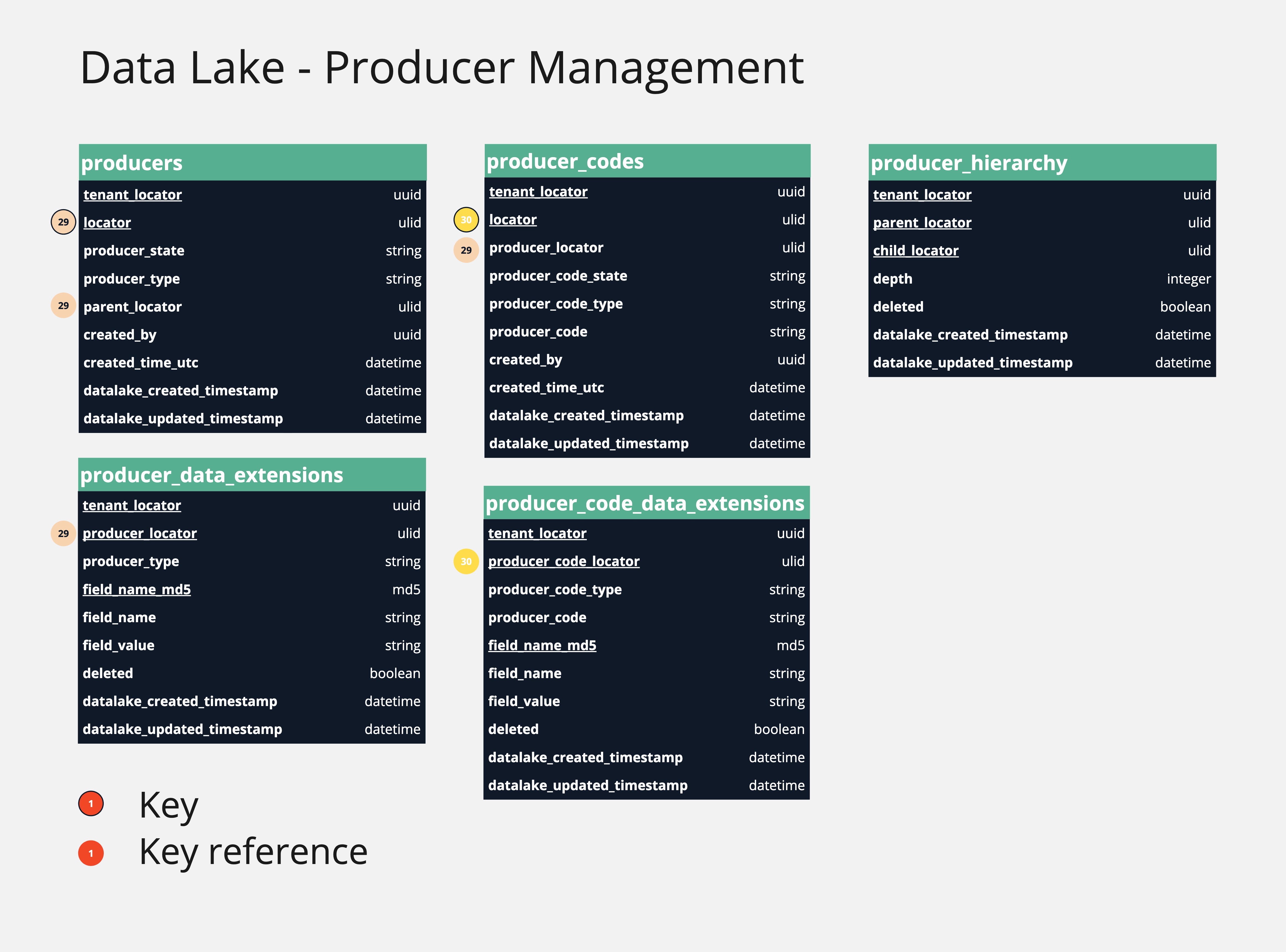 Data Lake Producer Management Entity Tables