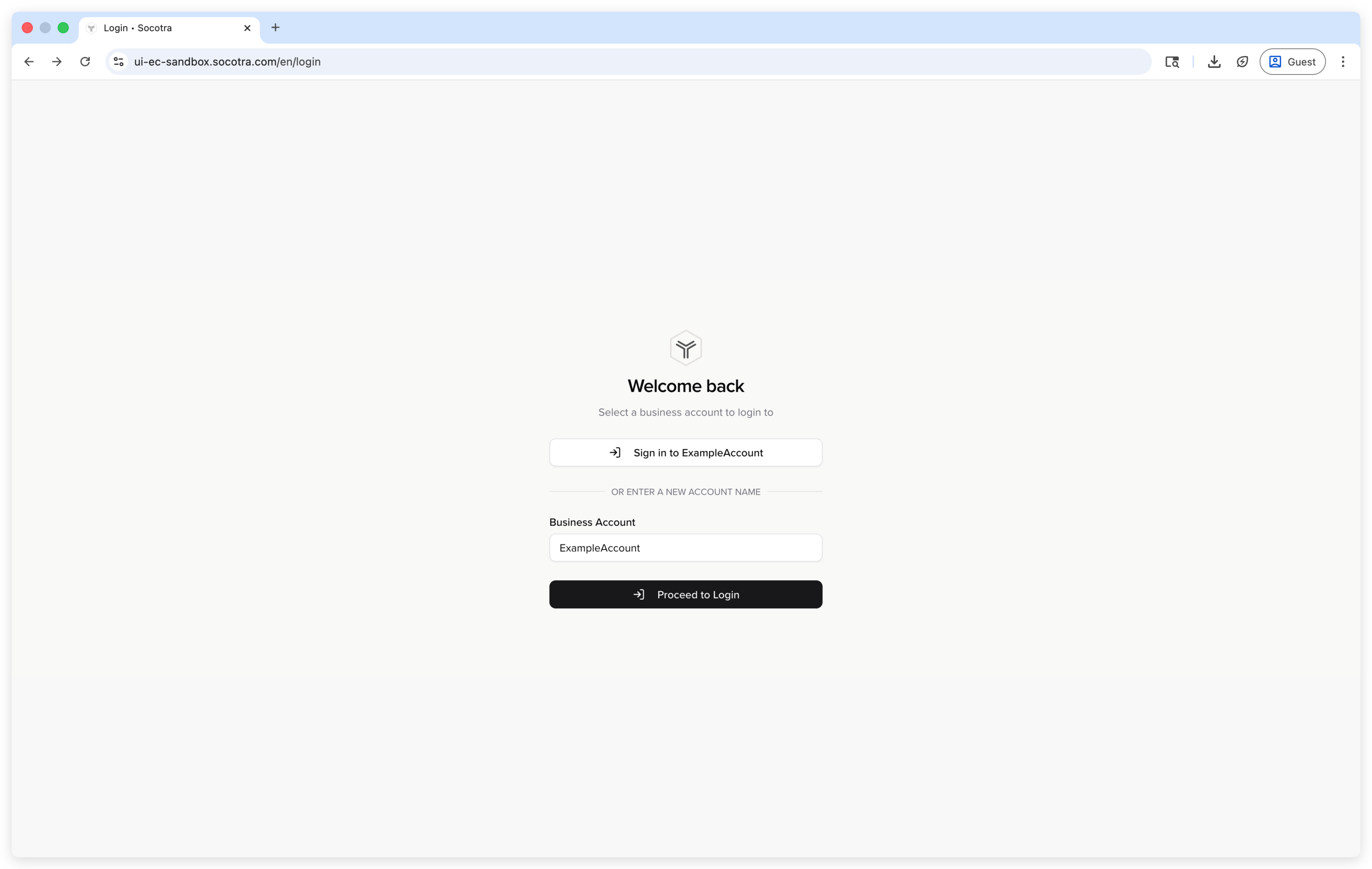 The Socotra business account input page.